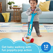 Fisher-Price Corn Popper, Blue Push-Along Toy | Baby & Toddler Toy with Ball-Popping Action, Developmental Play for Infants Ages 1+ Years, 2-Piece Assembly