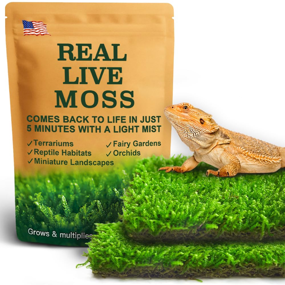 LUCKYRUNES Live Moss for Terrarium Bedding & Reptile Enclosures | Moisture-Holding Layer, Humid Hide Accent, Forest-Floor Look, Easy to Trim, For Frogs, Geckos, Turtles, Snakes