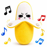 Musical Sensory Toy