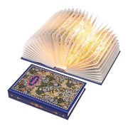 Ba suns Book Lamp Decor, Gift for Book Lovers, Rechargeable Book Light | Reading Light, Portable Paper Lamp with Touch Control, Decor for Home Library Bookshelf, Gift for Women Readers (Blue)