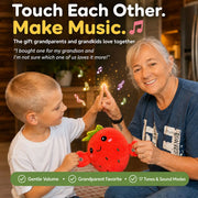 Musical Sensory Toy