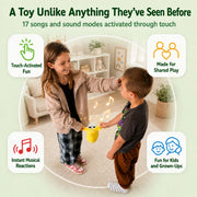 Musical Sensory Toy